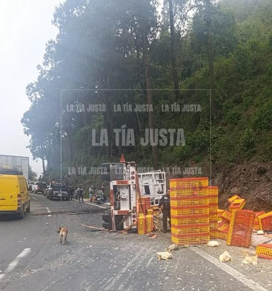 VUELCA CAMIÓN CARGADO CON REJAS DE POLLO