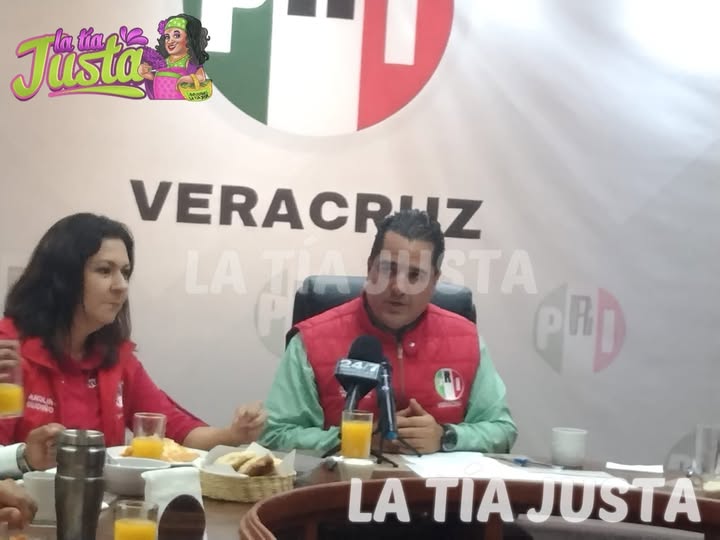 PRI ACUSA A MORENA DE “INCOMPETENCIA TOTAL” EN ELECCIONES DE AGENCIAS MUNICIPALES