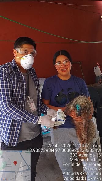 Aumenta a 10 casos de gusano barrenador en perritos de Fortín.