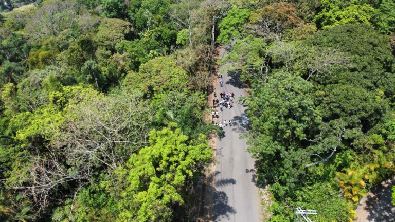 Fortín impulsa el cuidado ambiental mediante el Programa de Aves Urbanas (PAU Fortin)