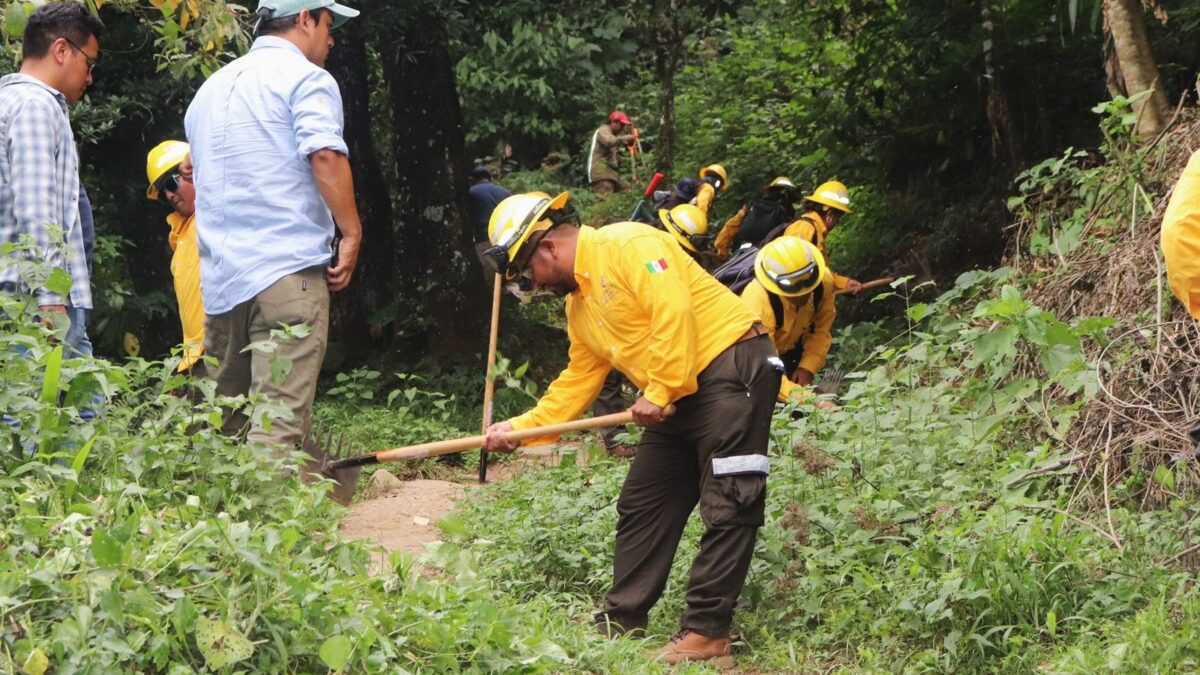 Orizaba amplía brechas cortafuego en la zona norte del Cerro de Escamela