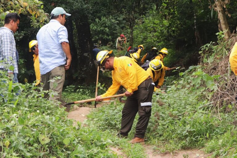 Orizaba amplía brechas cortafuego en la zona norte del Cerro de Escamela