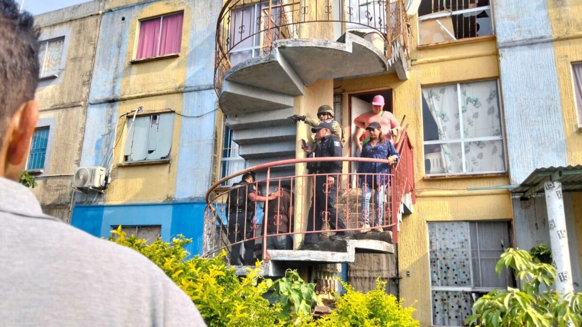 Con denuncia ante la Fiscalía, interviene Ayuntamiento de Veracruz en caso de presunto maltrato animal en Sotavento