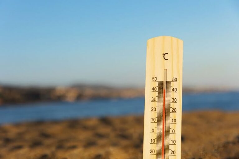 Emite IMSS Veracruz Sur recomendaciones a trabajadores ante ola de calor.