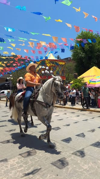 Sin incidente alguno transcurre la Feria Zongolica 2026.