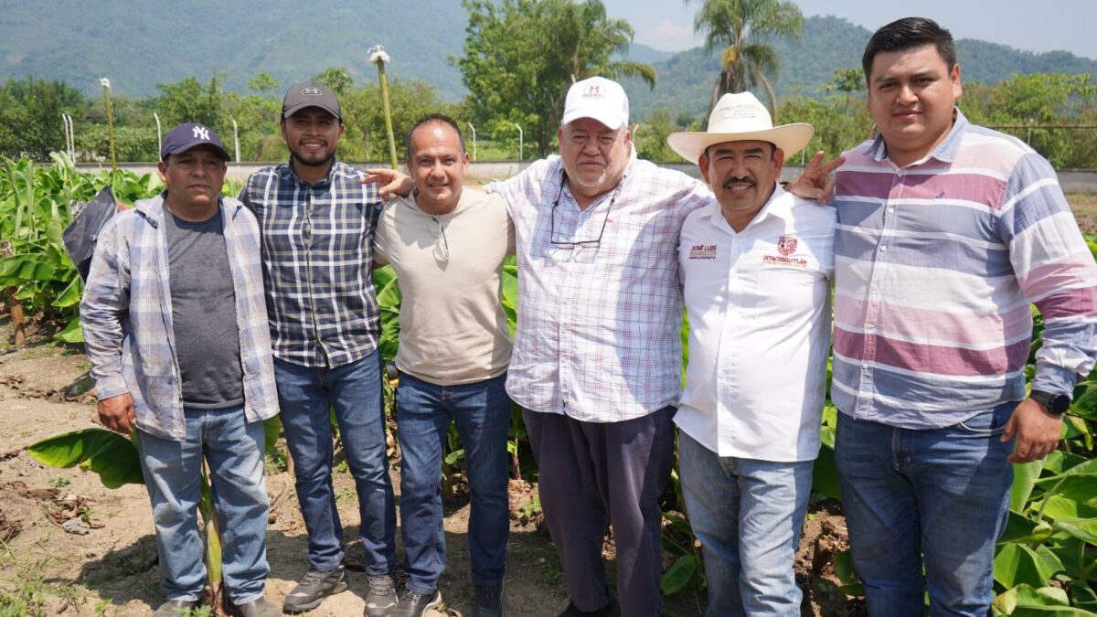 IXTACZOQUITLÁN IMPULSA PRODUCCIÓN DE PLÁTANO MORADO CON VISIÓN DE EXPORTACIÓN