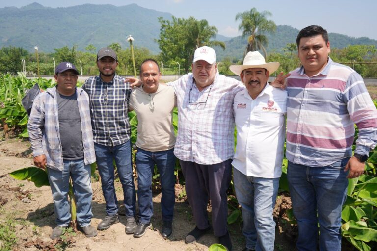 IXTACZOQUITLÁN IMPULSA PRODUCCIÓN DE PLÁTANO MORADO CON VISIÓN DE EXPORTACIÓN