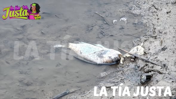 CLAUSURAN VÁLVULAS DE ALCOHOLERA EN IXTACZOQUITLÁN TRAS MORTANDAD DE PECES Y DAÑOS A CULTIVOS