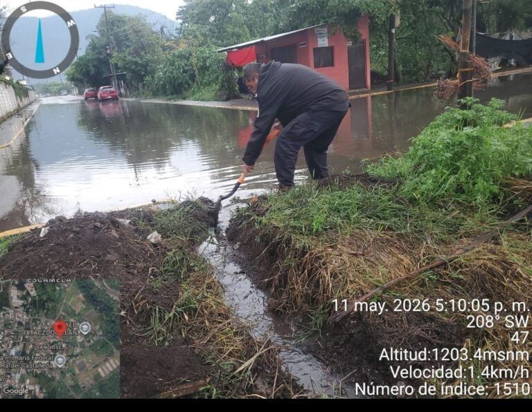ATIENDE PROTECCIÓN CIVIL DE IXTACZOQUITLÁN CAÍDA DE ÁRBOLES Y ENCHARCAMIENTOS TRAS INTENSAS LLUVIAS
