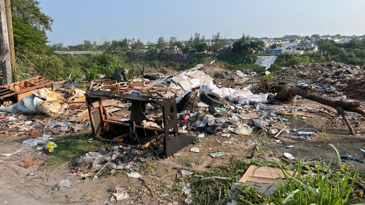 Ayuntamiento de Veracruz intensifica acciones para limpiar la ciudad