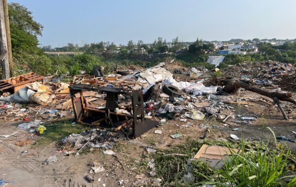 Ayuntamiento de Veracruz intensifica acciones para limpiar la ciudad