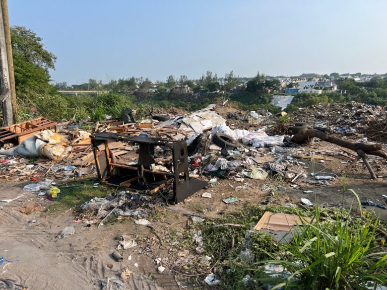 Ayuntamiento de Veracruz intensifica acciones para limpiar la ciudad