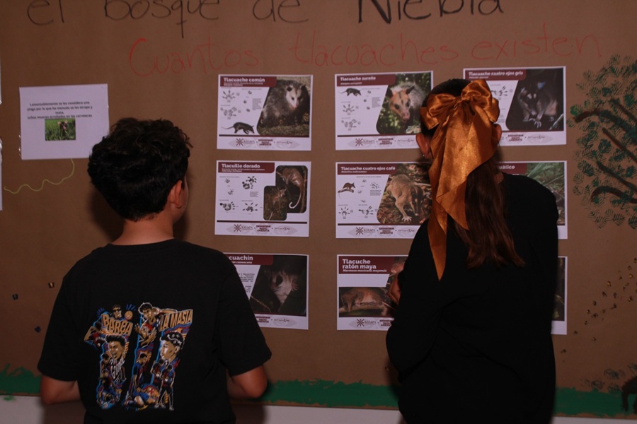SECVER ofrece talleres gratuitos en la 36.ª FNLIyJ