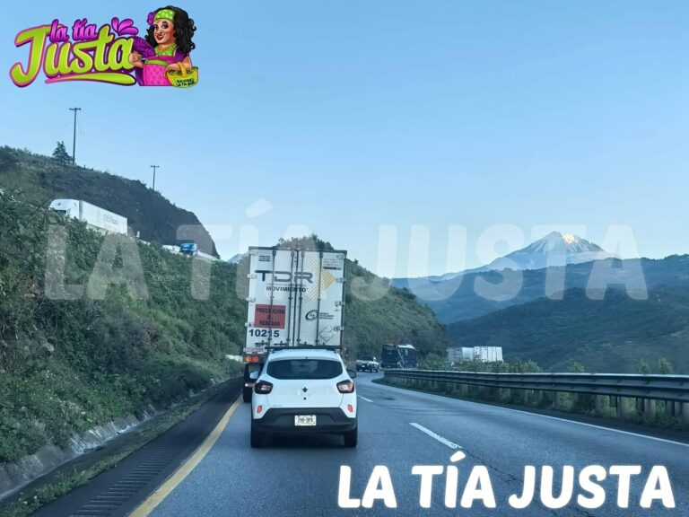 Accidente en autopista Puebla-Orizaba deja tractocamión volcado