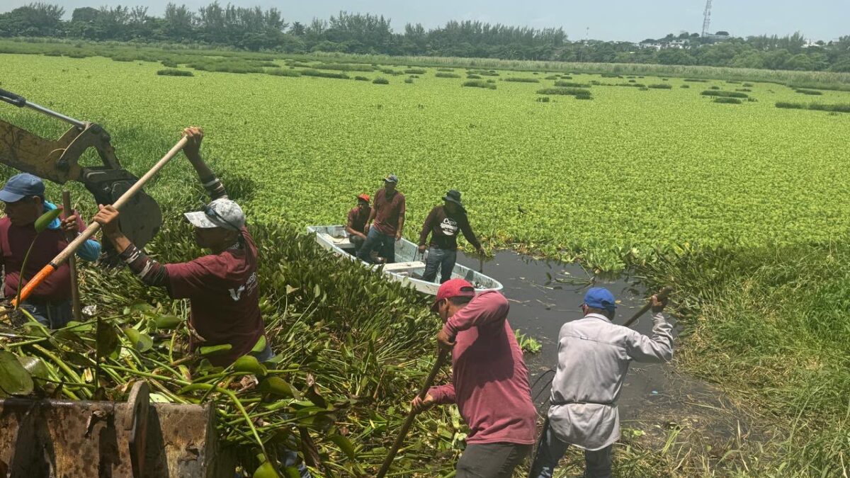 Ayuntamiento de Veracruz retira 100 toneladas de residuos en lagunas