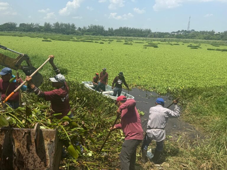 Ayuntamiento de Veracruz retira 100 toneladas de residuos en lagunas