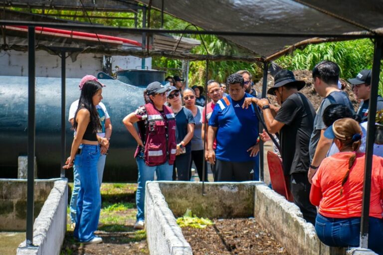 Centro de Compostaje en Xalapa procesa 12 toneladas diarias