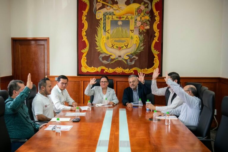 Conmas impulsa asistencia social y economía en Xalapa