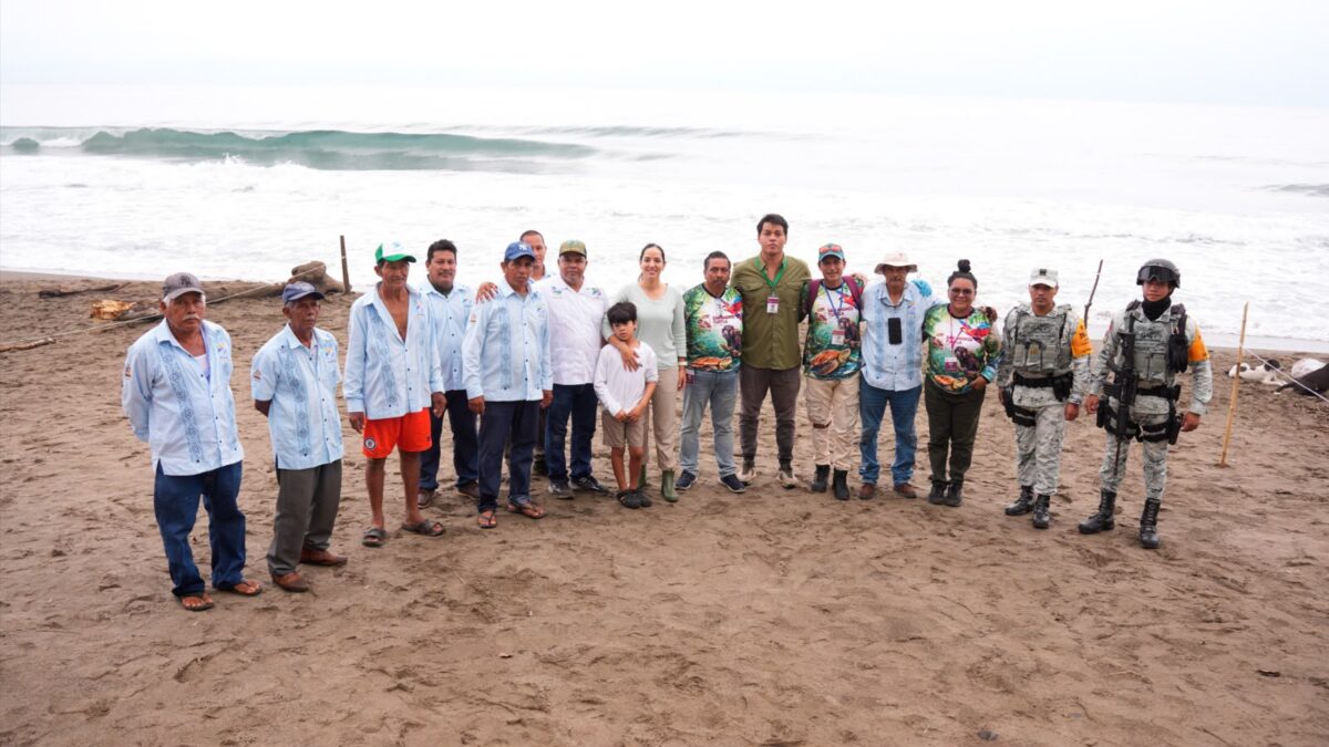 Conservación de tortugas en San Andrés Tuxtla avanza