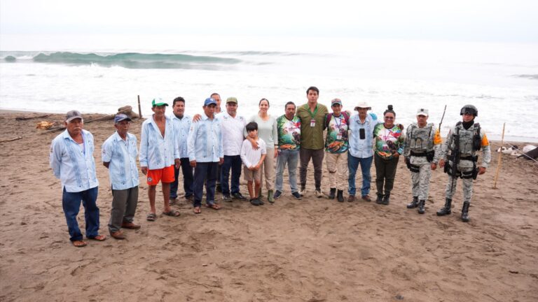 Conservación de tortugas en San Andrés Tuxtla avanza