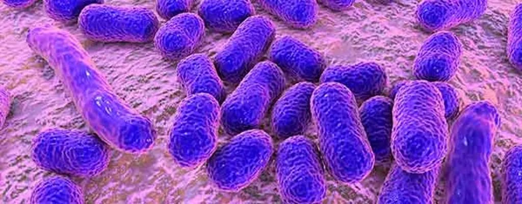 Detectan primer caso de Cyclospora en Veracruz