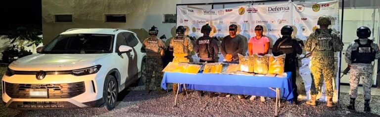 Detenciones y decomisos en operativos de seguridad en Veracruz