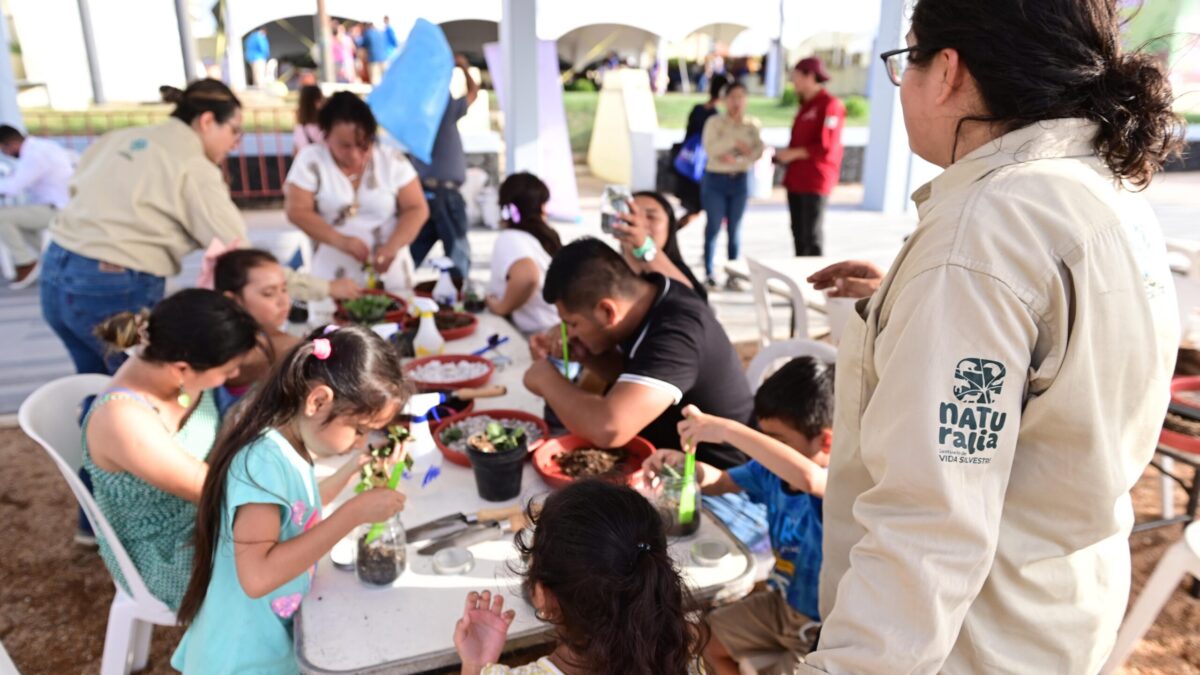 Festival del Mar ofrece actividades gratuitas para familias