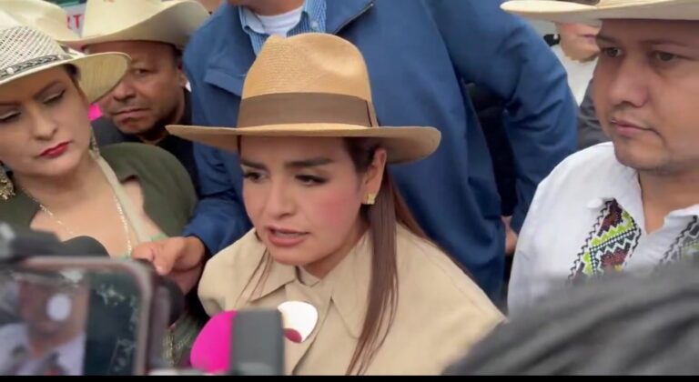 Grecia Quiroz llevará defensa de candidaturas independientes a instancias internacionales