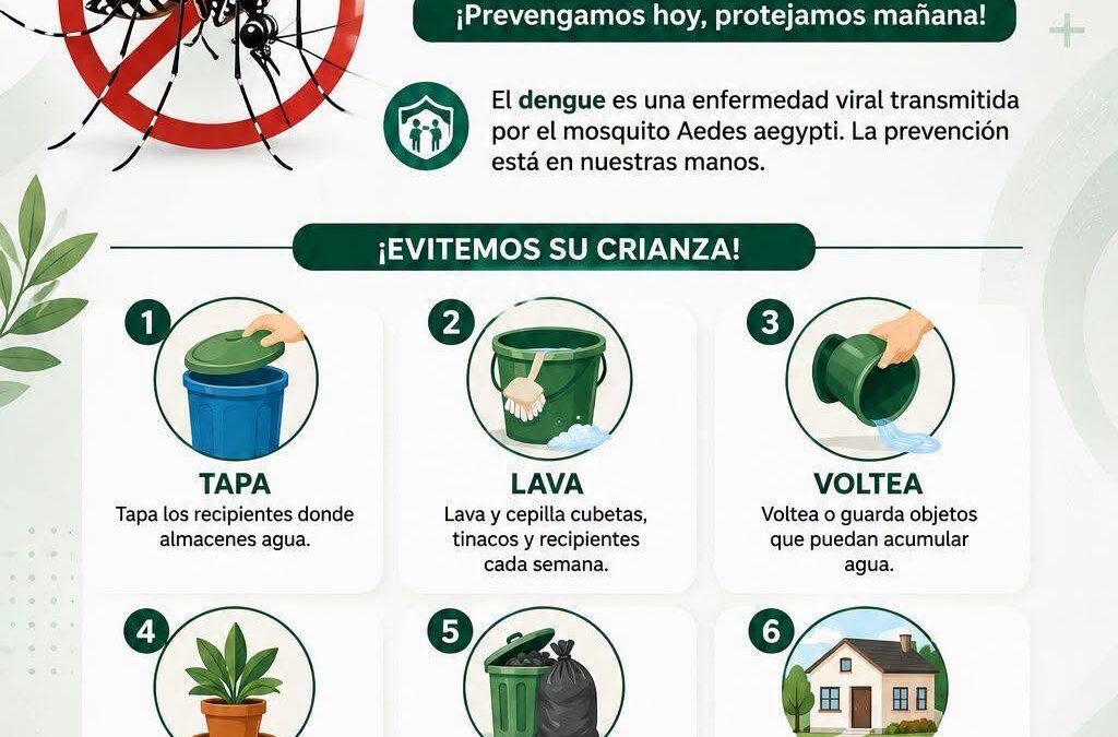 IMSS Veracruz Sur impulsa prevención del dengue