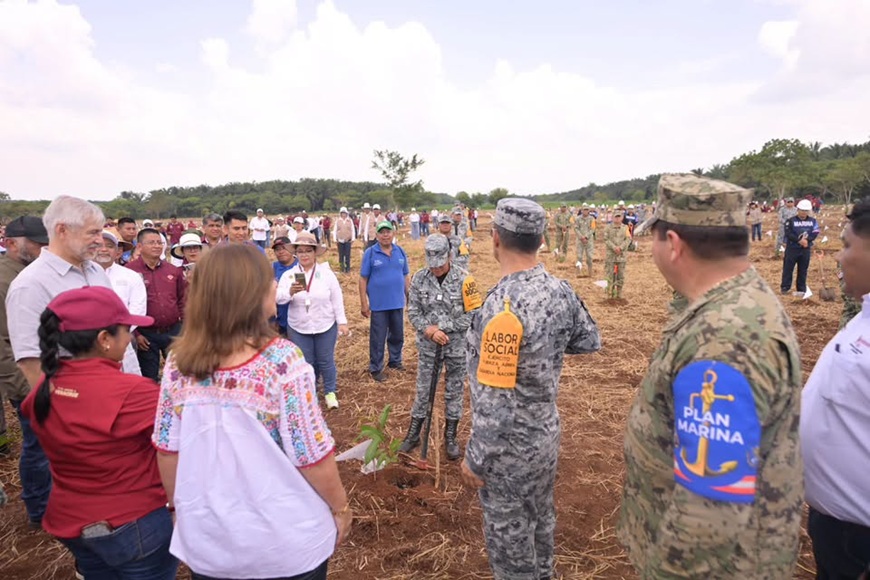 Jornada de reforestación en Veracruz y sus retos
