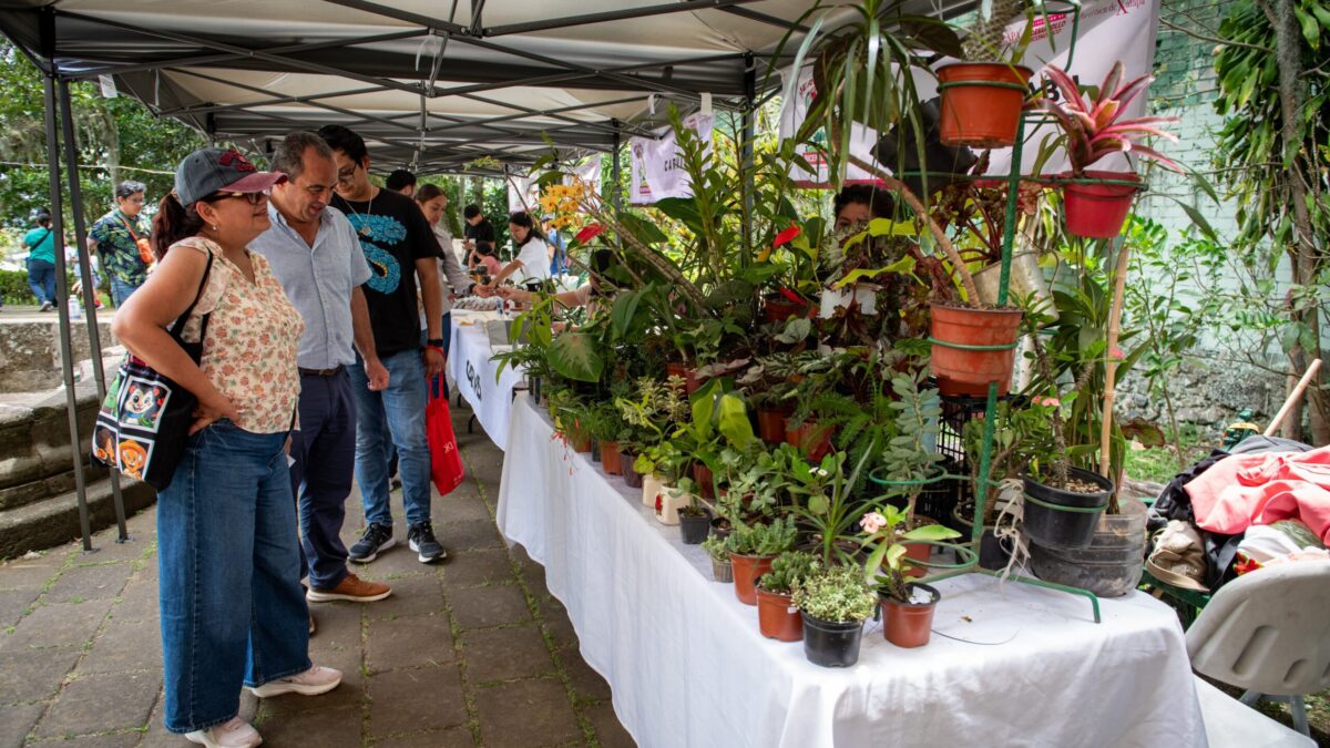 Mercadito Bicentenario impulsa a emprendedores de Xalapa