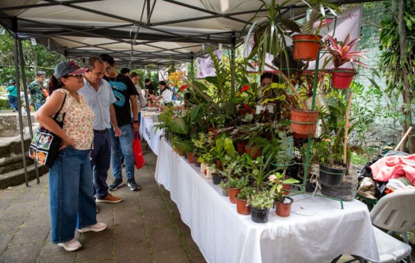 Mercadito Bicentenario impulsa a emprendedores de Xalapa