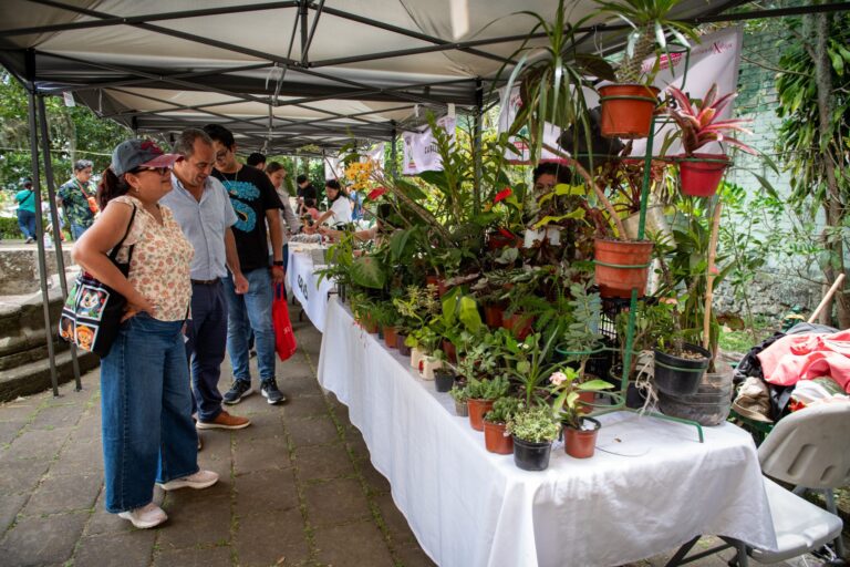 Mercadito Bicentenario impulsa a emprendedores de Xalapa