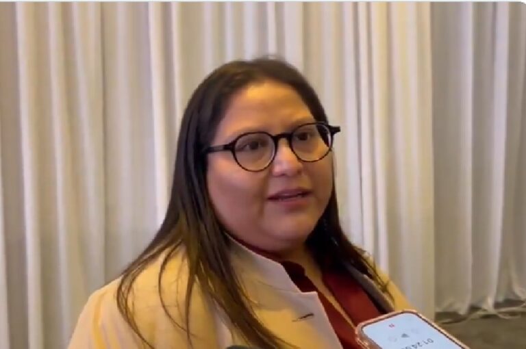 Morena evalúa futuro de Rocha Moya tras su regreso temporal