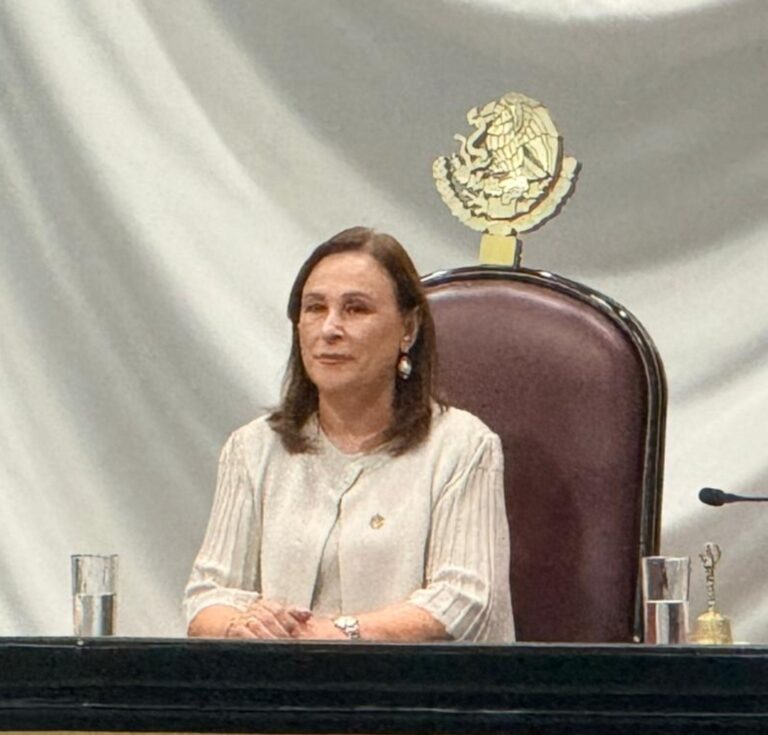 Norma Rocío Nahle y la sucesión gubernamental en Veracruz