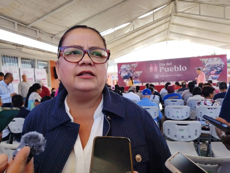 Revisión de árboles en escuelas por parte del Ayuntamiento de Xalapa