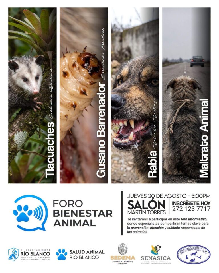 Río Blanco organiza foro sobre bienestar animal