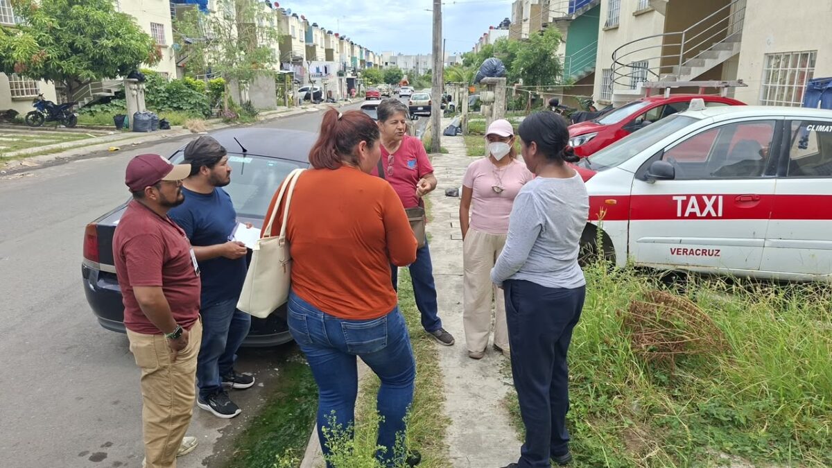 Ayuntamiento de Veracruz rescata seis gatos y apoya a cuidadora