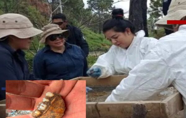 Confusión por hallazgo de dientes infantiles en Zacapu