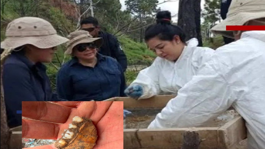 Confusión por hallazgo de dientes infantiles en Zacapu