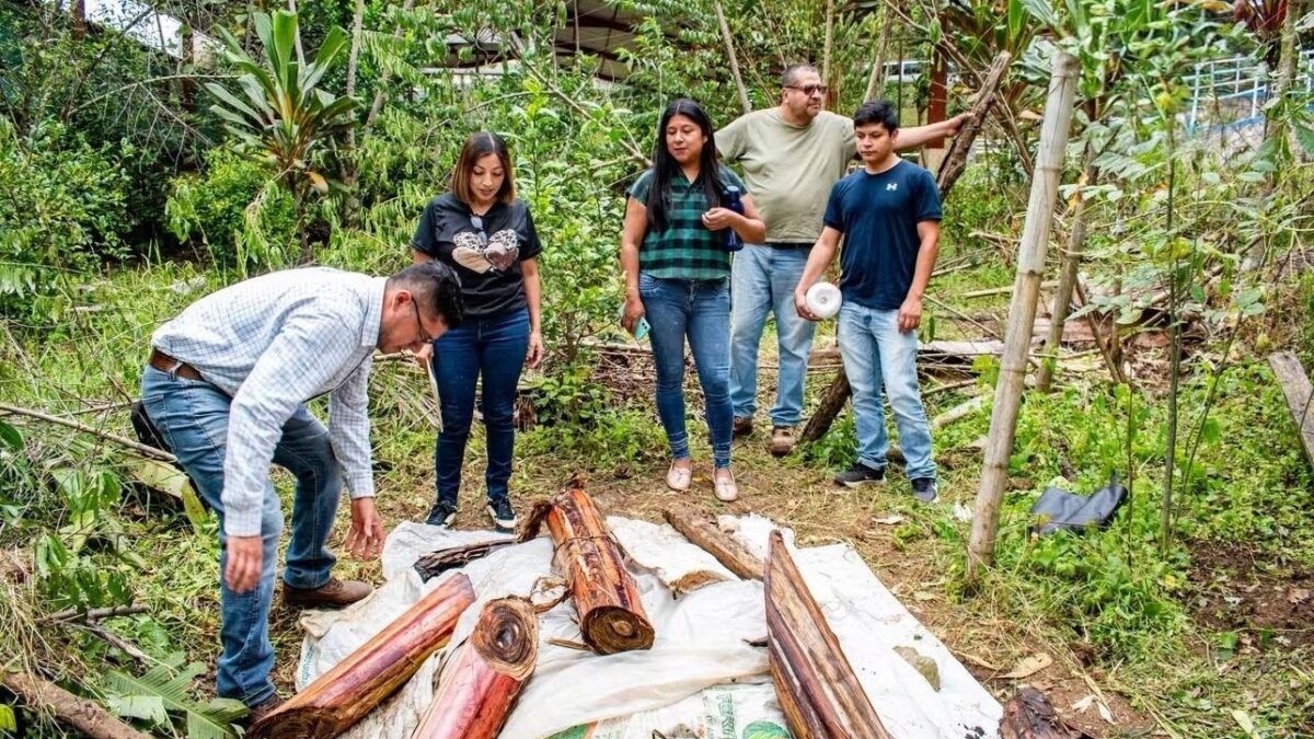 Cursos de composta y huertos escolares en Ixhuatlán