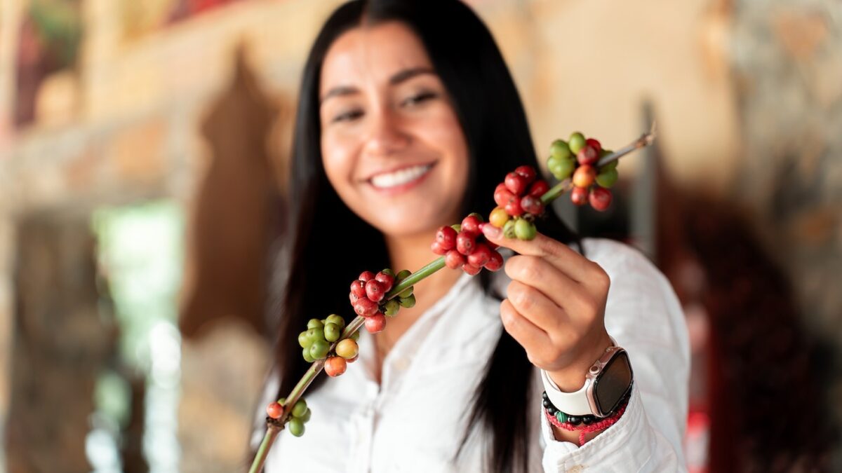 Descubre las tradiciones y naturaleza de Veracruz
