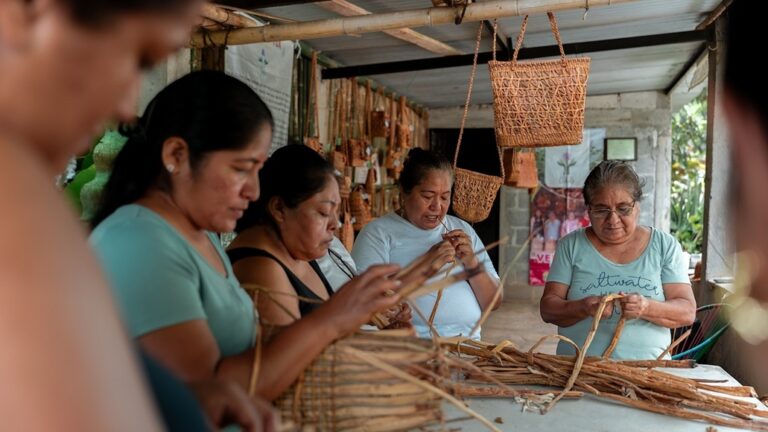 Descubre Veracruz a través del turismo comunitario