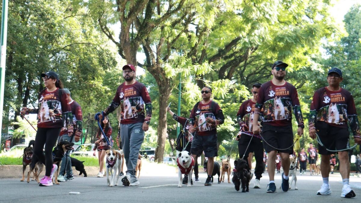 Exitosa carrera por el bienestar animal en Xalapa