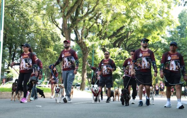 Exitosa carrera por el bienestar animal en Xalapa