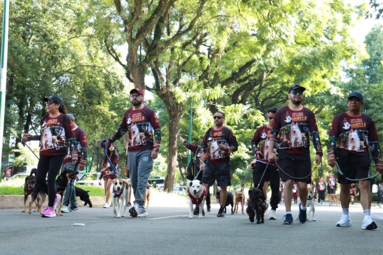 Exitosa carrera por el bienestar animal en Xalapa