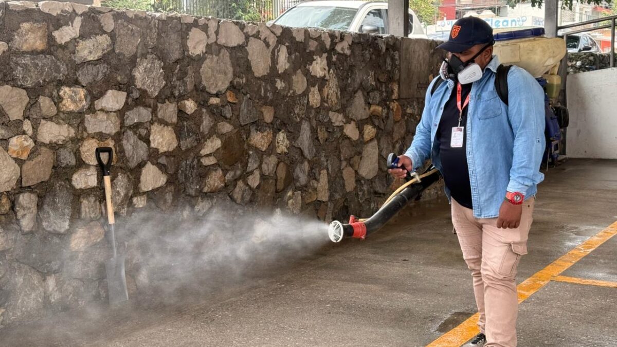 Fortín continúa con jornadas de fumigación contra enfermedades