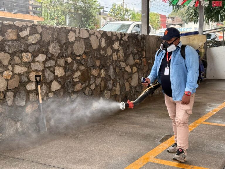 Fortín continúa con jornadas de fumigación contra enfermedades