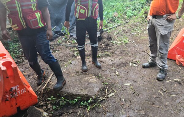 Roban calzado a rescatistas en búsqueda de cocodrilo