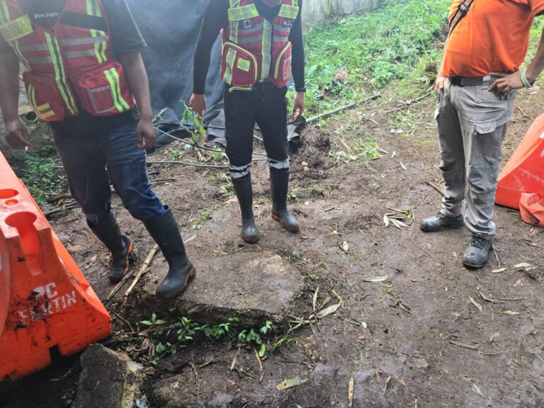Roban calzado a rescatistas en búsqueda de cocodrilo